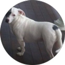 Profile photo of SUSAN REILLY