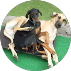 Profile photo of Diane Ems