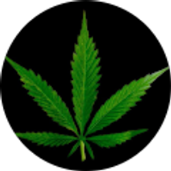 Profile photo of Fuck Head