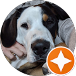 Profile photo of eric bertch