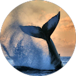 Profile photo of James Admire