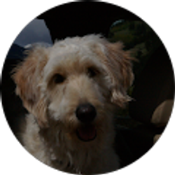 Profile photo of George McCray