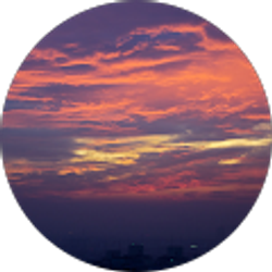 Profile photo of Joey Conto