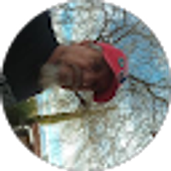 Profile photo of Royal Mark Reif