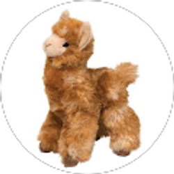 Profile photo of suprcoolpancake