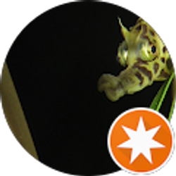 Profile photo of j. smith