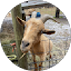 Profile photo of Janice Stafford
