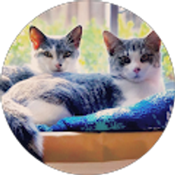 Profile photo of SaraMaria Segoviano