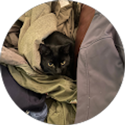 Profile photo of Brydgit Lorraine