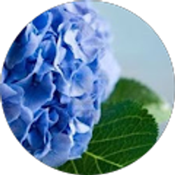 Profile photo of Amber Nelson