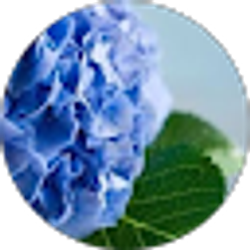 Profile photo of Amber Nelson