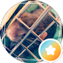 Profile photo of Sarah Negrete