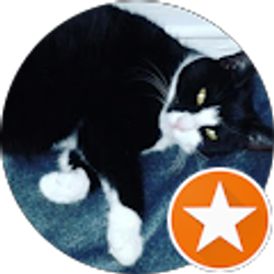 Profile photo of Chris Gieck