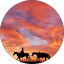 Profile photo of Alisha Holder