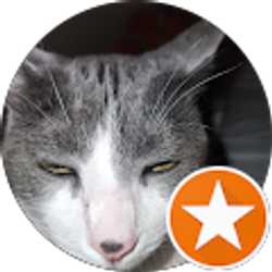 Profile photo of thumb cats