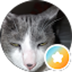 Profile photo of Claire Katz