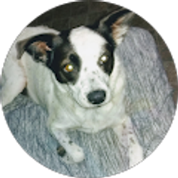 Profile photo of Kenny Barnhill