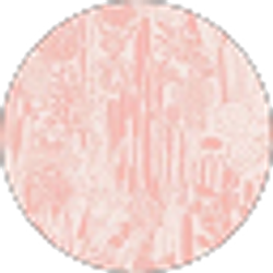 Profile photo of Macy