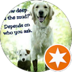 Profile photo of Shirley Wygle