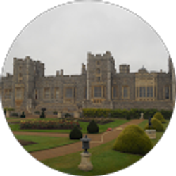 Profile photo of Bran Collingwood