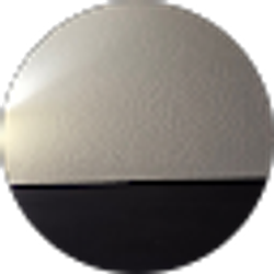 Profile photo of Elizabeth Bass