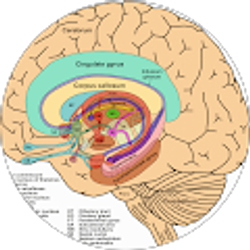 Profile photo of abdullah alarfaj