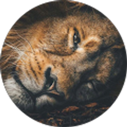 Profile photo of Andres Osorio