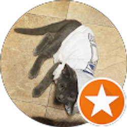 Profile photo of krystal anagnos