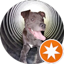 Profile photo of Tinker Bell