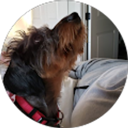 Profile photo of Anastasia Stodolski