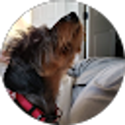 Profile photo of Anastasia Stodolski
