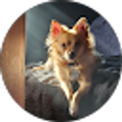 Profile photo of Jeffry Nixon