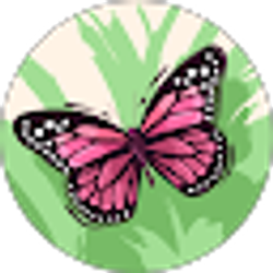 Profile photo of Clarissa