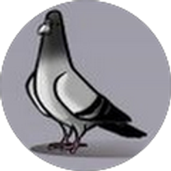 Profile photo of John Weaver