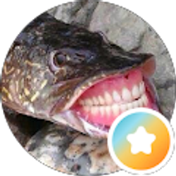 Profile photo of Johnnyrev1 Out