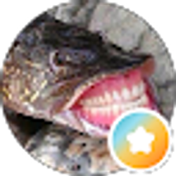 Profile photo of Johnnyrev1 Out