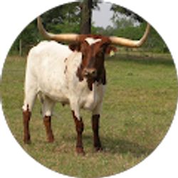 Profile photo of Deborah Grace-Rosier