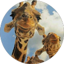 Profile photo of karin snellgrove