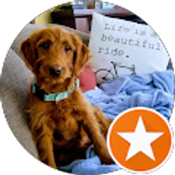 Profile photo of Andrew Liam Kelly