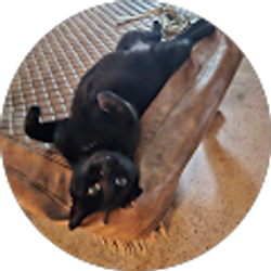 Profile photo of Amanda Stufflet