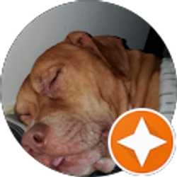 Profile photo of Blake Vura