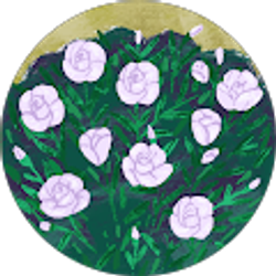 Profile photo of Abbie S.