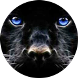 Profile photo of JoAnne T
