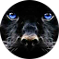 Profile photo of JoAnne T