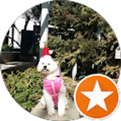 Profile photo of Charmed One