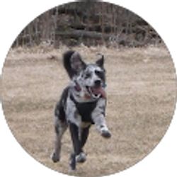 Profile photo of Patricia Kelley