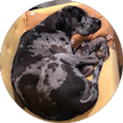 Profile photo of Glenn Orozco