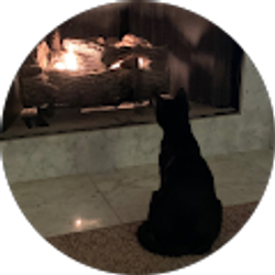 Profile photo of Carol McCool