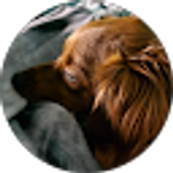 Profile photo of Craig Briggs