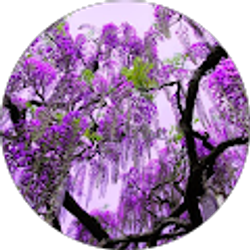 Profile photo of Daniel Anderson